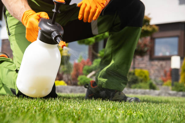 Best Mosquito Control Services  in East Sparta, OH