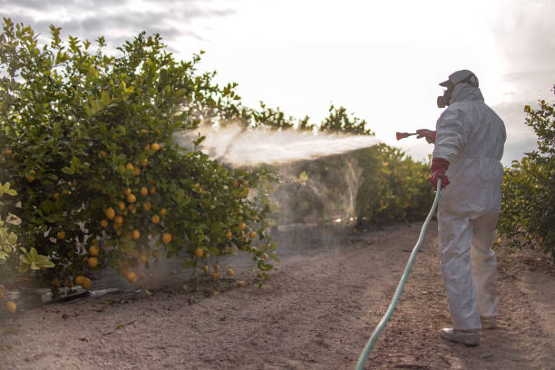 Best Commercial Pest Control Services  in East Sparta, OH