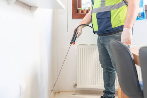 Professional Pest Control in East Sparta, OH