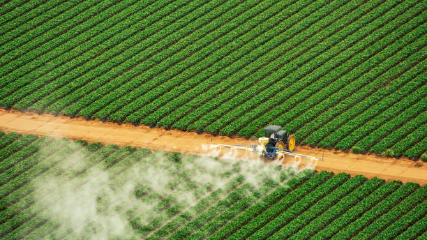 Best Termite Control Services  in East Sparta, OH