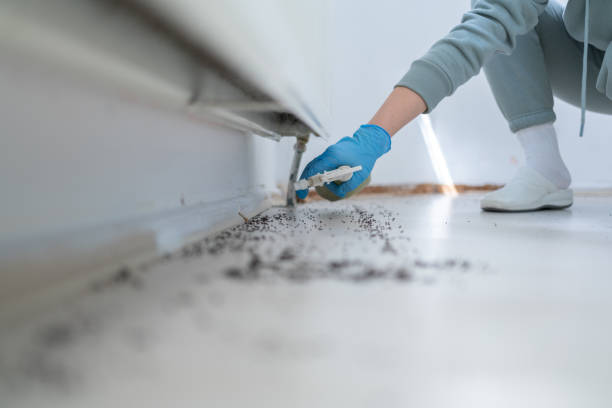 Best Affordable Pest Control Services  in East Sparta, OH
